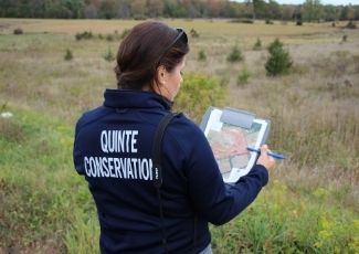 A female Quinte Conservation staff member, stand in a field, looking at a map.
