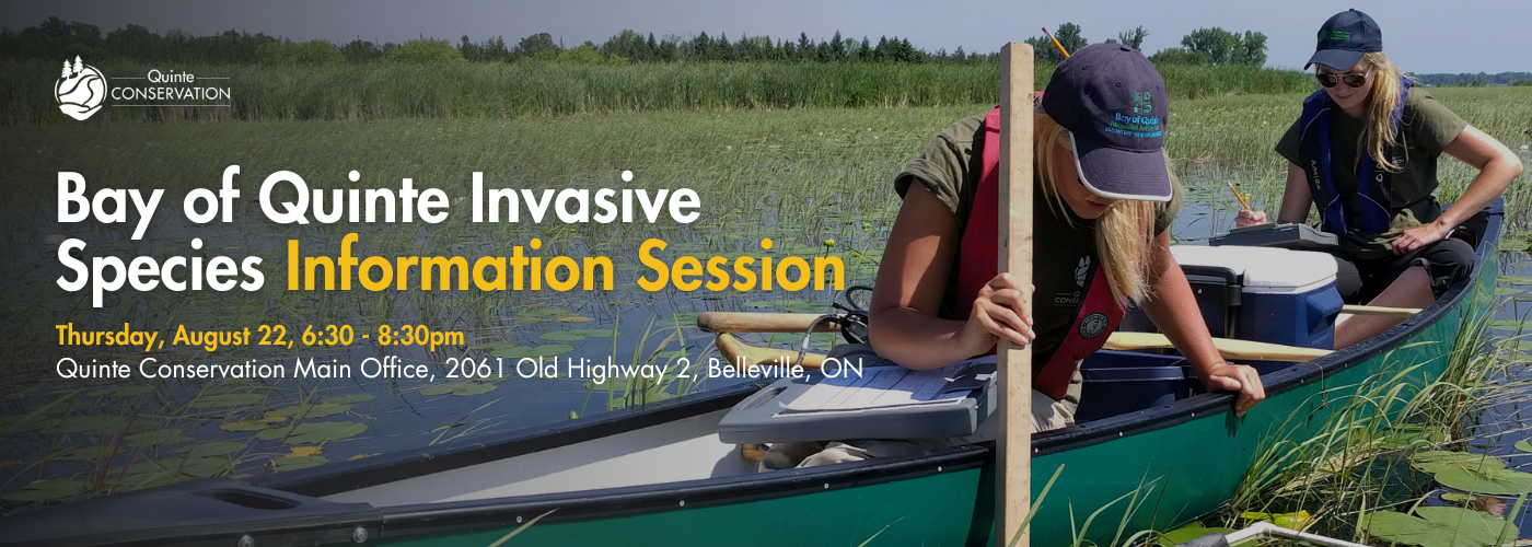 2024 Invasive Species Information Session poster 