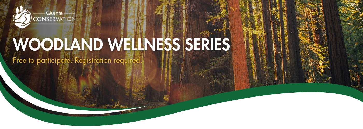 Woodland Wellness Event Series Banner Image