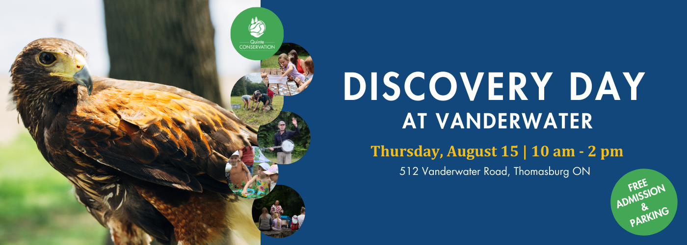 2024 Discovery Day at Vanderwater poster image 